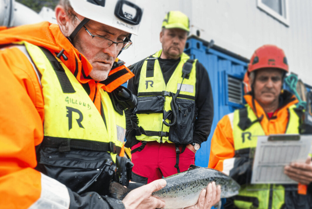Bjørn Gilllund i Sinkaberg-Hansen sier det er viktig å studere alle detaljer når det kommer til fiskehelse. Foto: Sinkaberg-Hansen.