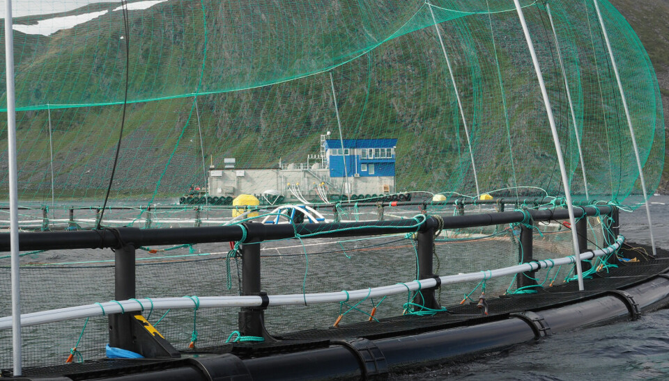 Grieg Seafood Finnmark sin lokalitet Vannfjorden.