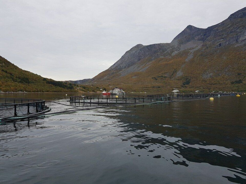 En av lokalitetene til Kvarøy Fiskeoppdrett. Foto: Kvarøy Fiskeoppdrett.