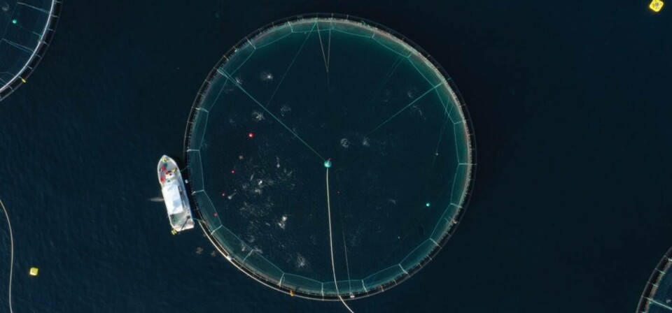 SINTEF har en av få forskningsinfrastrukturer i verden som er spesialisert på å utvikle og teste ny havbruksteknologi i fullskala. Her testes det lydbaserte fôringssystemet SICA. Foto: Magnus Oshaug Pedersen