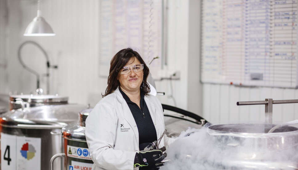 Benchmark utlyser seks nye genetikerstillinger
