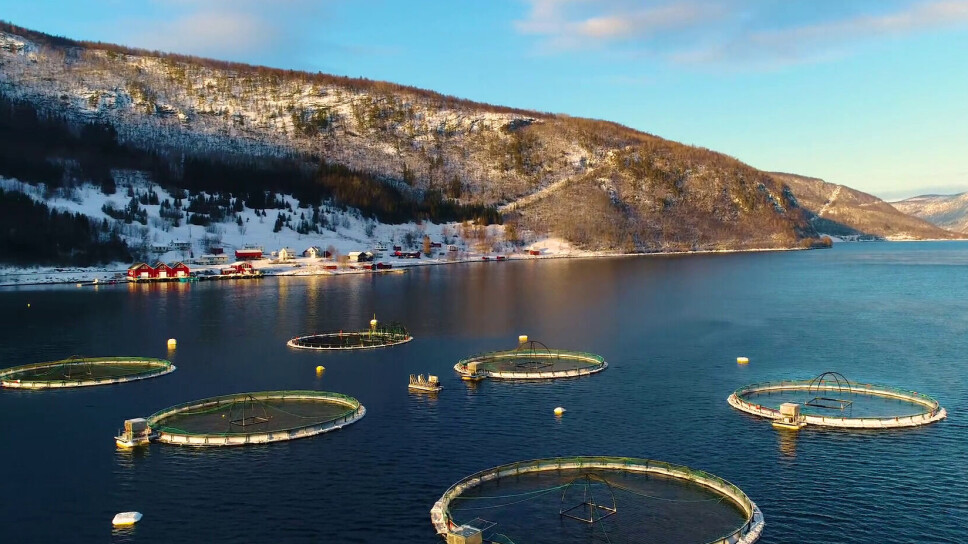Edelfarm sin Øksengård-lokalitet Edelfarm sin Øksengård-lokalitet