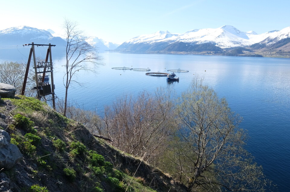 Gadus Group sitt anlegg ved Alida i Volda.