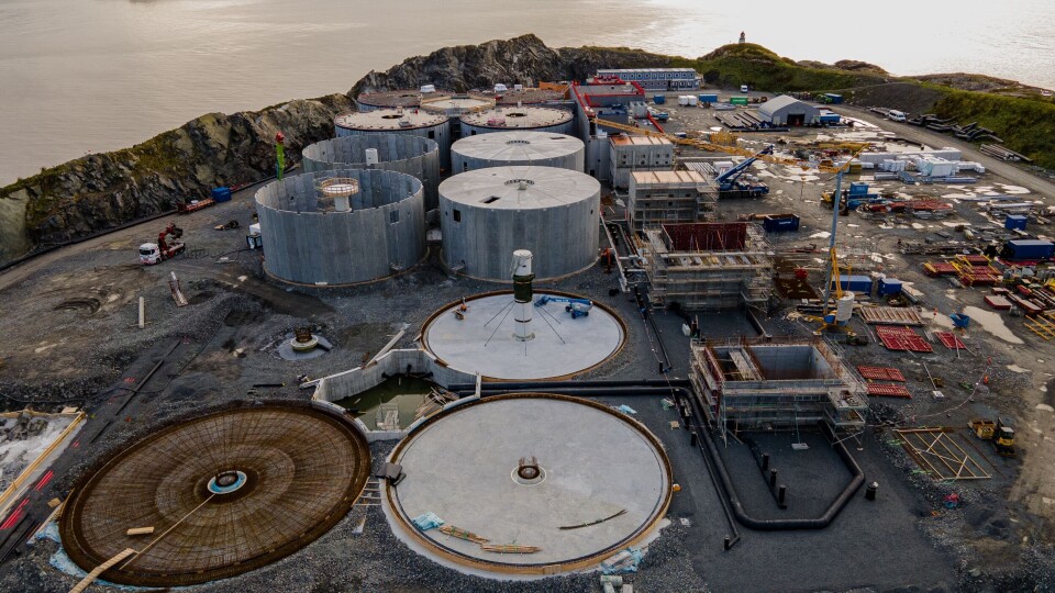 Det bygges for harde livet på Indre Harøy i Møre og Romsdal. Opp i 190 arbeidere er til enhver tid i sving. Foto: Salmon Evolution