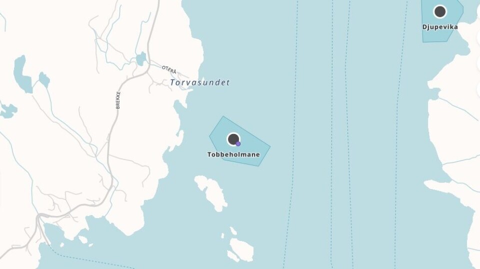 Det meldes om ILA-mistanke på lokalitet Tobbeholmane i Austevoll.