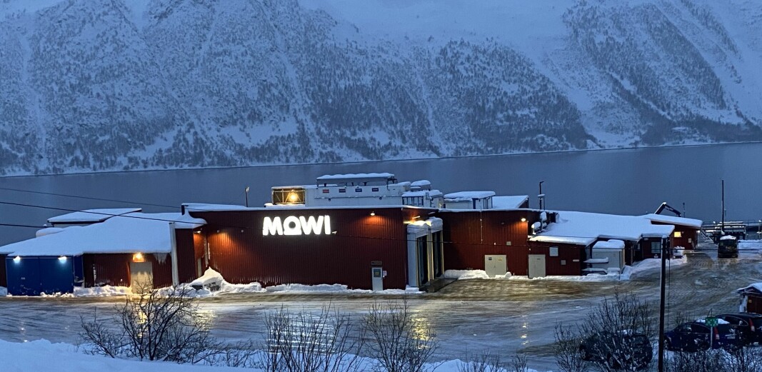 Mowi legger ned fabrikken i Jøkelfjord.