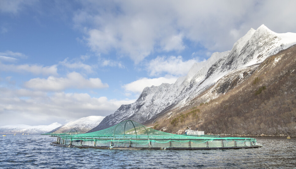 En av Cermaqs anlegg i Nordland.