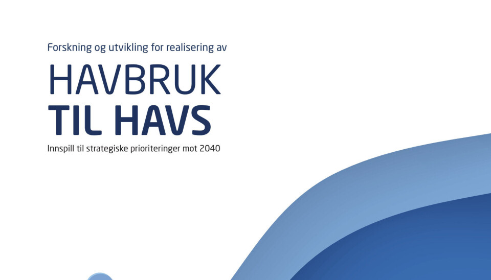 Sintefs nye rapport Havbruk til Havs tar for seg forskning, utvikling og prioriteringer frem mot 2040.