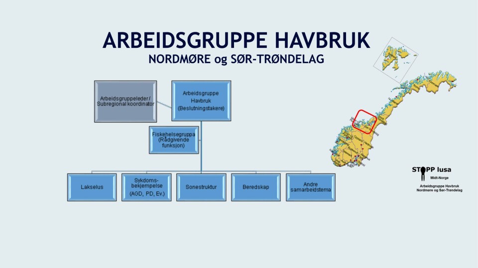 Illustrasjon av Arbeidsgruppe havbruk. Illustrasjon av Arbeidsgruppe havbruk.