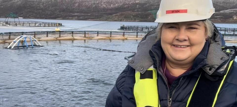 Sier nei til grunnrenteskatt