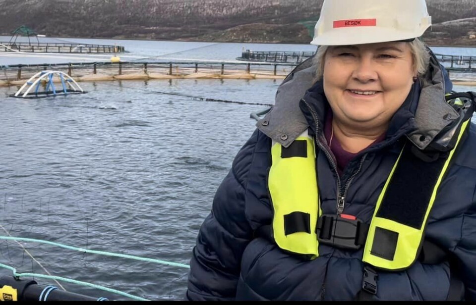 Erna Solberg skriver at det er bra at finansministeren har tatt til seg noen av tilbakemeldingene fra næringen . - Og vi møter regjeringspartiene gjerne til konstruktive forhandlinger for å rette opp et dårlig forslag. Men da må regjeringen være villig til å komme oss i møte, og ikke låse seg inne på et rom med SV for å heller bli enige med dem, påpeker hun. Erna Solberg skriver at det er bra at finansministeren har tatt til seg noen av tilbakemeldingene fra næringen . - Og vi møter regjeringspartiene gjerne til konstruktive forhandlinger for å rette opp et dårlig forslag. Men da må regjeringen være villig til å komme oss i møte, og ikke låse seg inne på et rom med SV for å heller bli enige med dem, påpeker hun.