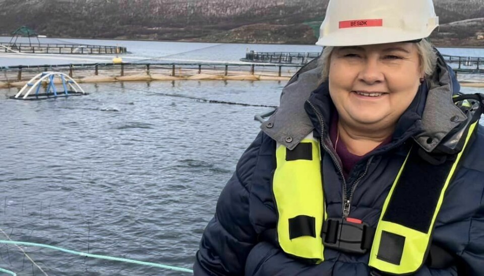 Erna Solberg, partileder i Høyre under et besøk på et oppdrettsanlegg.