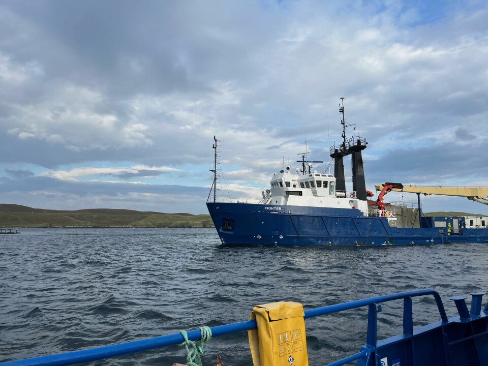 Uttestingen har foregått hos Scottish Sea Farms på Shetland.