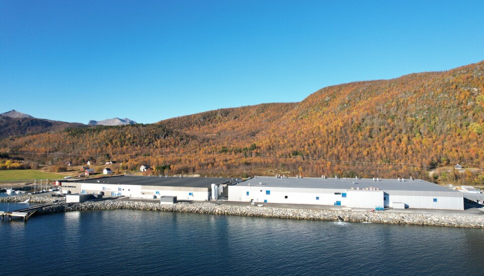 SalMar har nylig utvidet settefiskanlegget i Gjøvika på Senja med et nybygg med bruksflate på over 17 000 kvadratmeter.