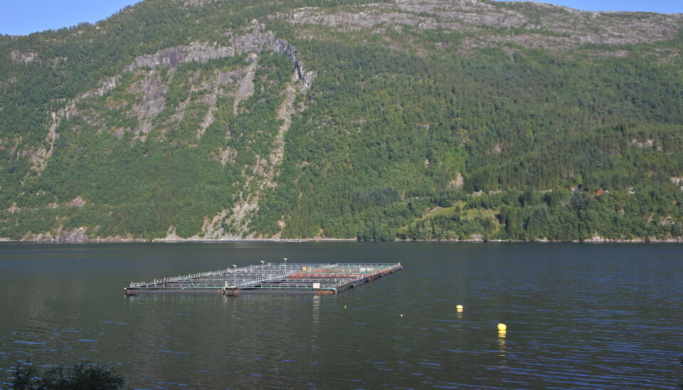 Aller Aqua i Vadheimsfjorden ved Vadheim