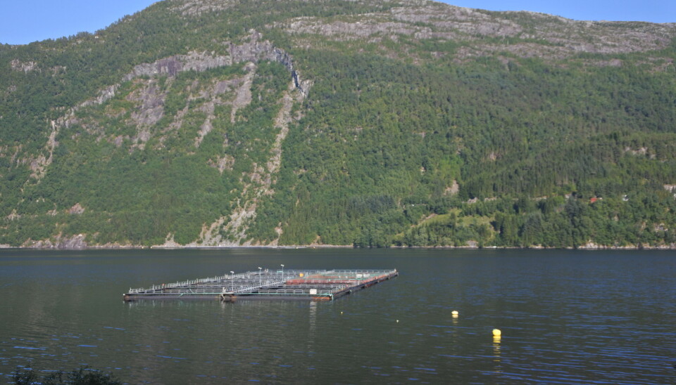 Aller Aqua i Vadheimsfjorden ved Vadheim Aller Aqua i Vadheimsfjorden ved Vadheim