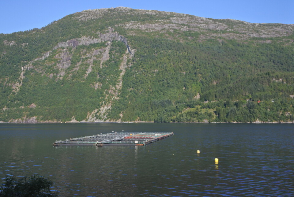 Aller Aqua sitt anlegg i Vadheimsfjorden.