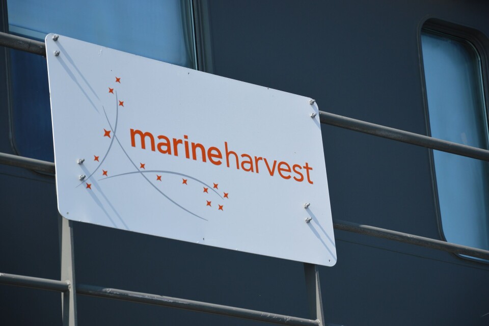 Flyfrakt via Qatar har blitt en utfordring for Marine Harvest.