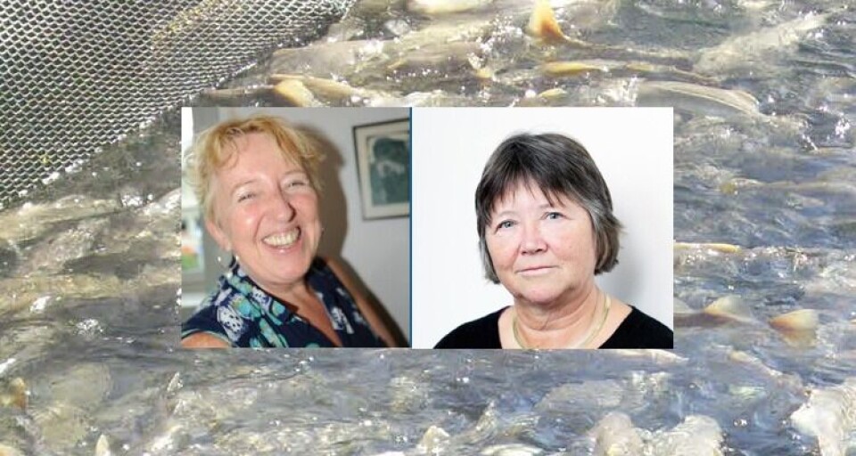 Grethe Adoff og Kristin Hamre.