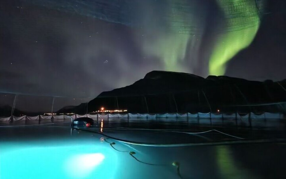 OptiCage i Northern Salmon Lights anlegg i Ystavika i Sør-Troms, badet i nordlys.