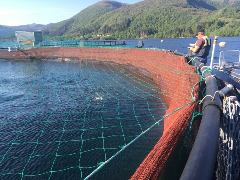 På lokaliteten til Statt Torsk er det for tiden ingen fisk satt ut i sjøen, men selskapet har plan om å sette ut ny fisk til våren. Her ser du driftsleder i Statt Torsk Leif-Ronny Rætta på merdkanten. Foto: Statt Torsk.
