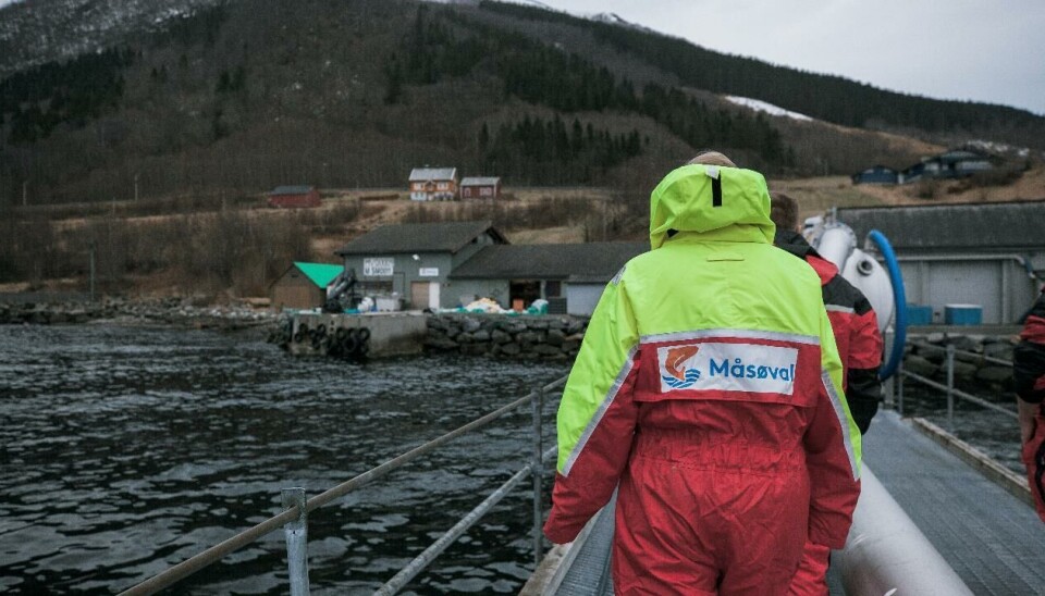 Illustrasjonsfoto av Måsøval hentet fra en av selskapenes kvartalsrapporter