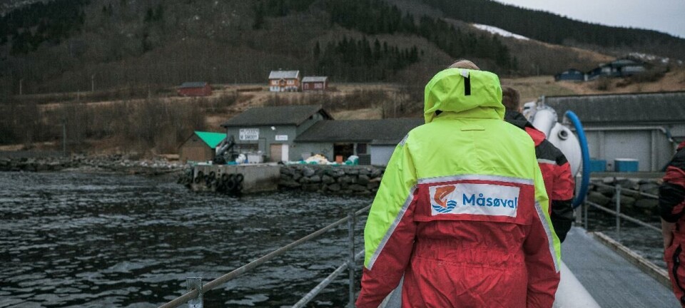 Måsøval øker brønnbåtkapasiteten