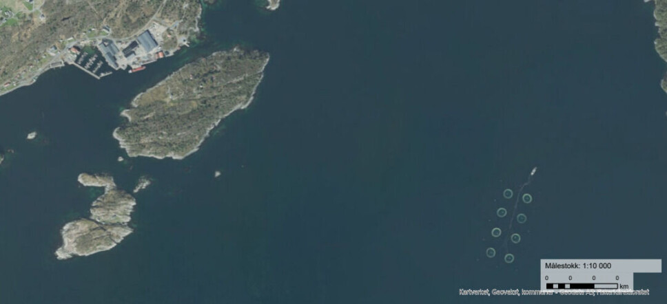 Kartutsnitt fra Fiskeridirektoratet. Lokaliteten Skrubbo nede til høyre og båthavnen i Strandvik oppe til venstre. Bjørnafjorden kommune, Vestland.