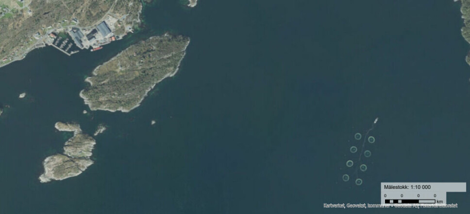 Kartutsnitt fra Fiskeridirektoratet. Lokaliteten Skrubbo nede til høyre og båthavnen i Strandvik oppe til venstre. Bjørnafjorden kommune, Vestland.