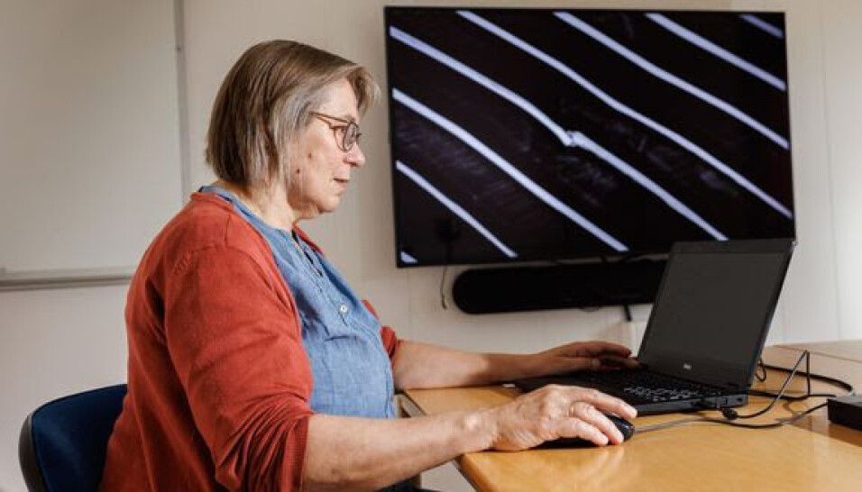 Seniorforsker Grete Bæverfjord har avdekket at ribbeinsbrudd, som vist på skjermen, er en årsak til mørke flekker.