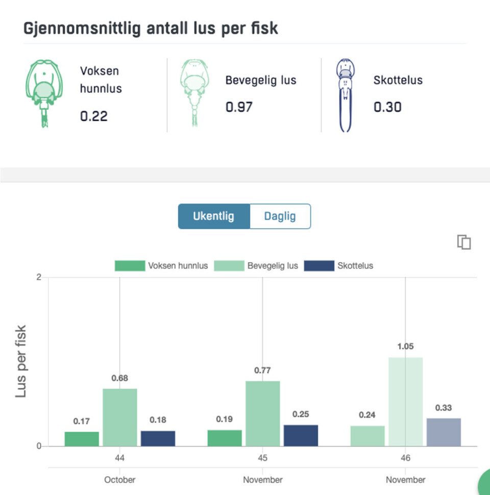 Skjermdump av en automatisk lusetelling ved bruk av Optoscales kamerateknologi.
