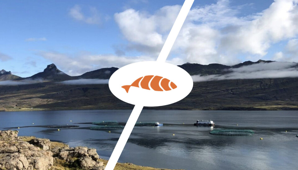 Ice Fish Farm melder om gode resultater for Q3 2022.
