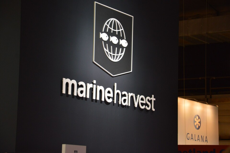 Marine Harvest, stand brussel 2014