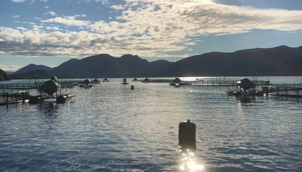 Foto fra Organic Seafarm sin lokalitet.