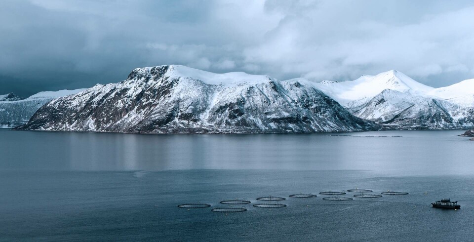 KIME Akva vil drive med torskeoppdrett og har nylig sikret finansiering for deres planlagte torskeproduksjon.