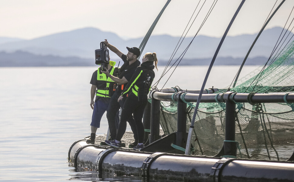 Aquabyte-sjefen på samtaler i Det hvite hus