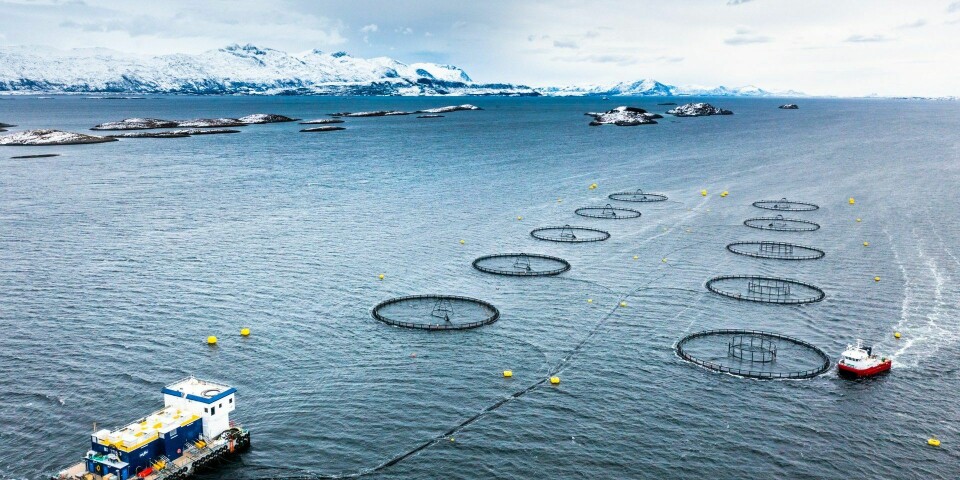 AkerBioMarine søker om forskningstillatelser. Om denne søknaden innvilges vil Aker Biomarine og LetSea teste syv nye råvarer på syv år med mål om å øke kombinasjonen av disse nye råvarene i fiskefôr fra 0.4 prosent til 25 prosent innen 2030.