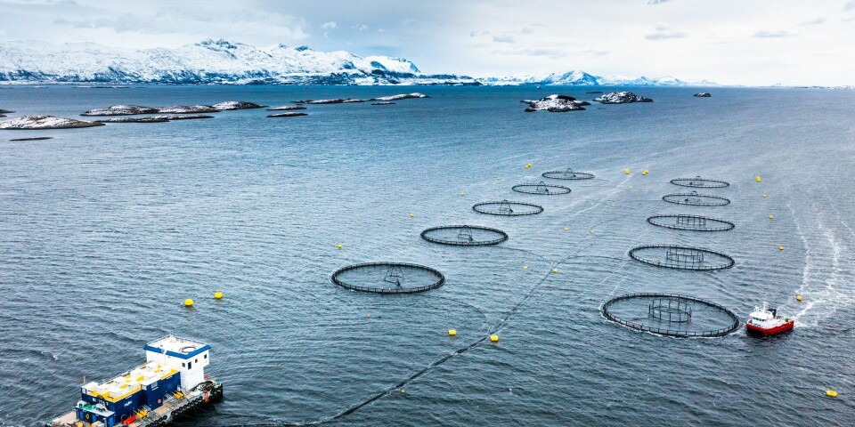 AkerBioMarine søker om forskningstillatelser. Om denne søknaden innvilges vil Aker Biomarine og LetSea teste syv nye råvarer på syv år med mål om å øke kombinasjonen av disse nye råvarene i fiskefôr fra 0.4 prosent til 25 prosent innen 2030. AkerBioMarine søker om forskningstillatelser. Om denne søknaden innvilges vil Aker Biomarine og LetSea teste syv nye råvarer på syv år med mål om å øke kombinasjonen av disse nye råvarene i fiskefôr fra 0.4 prosent til 25 prosent innen 2030.