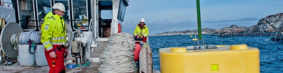 Personell, Serviceteam