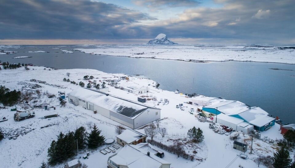 Arkivfoto fra det aktuelle bygget som nå har brent ned. Arkivfoto fra det aktuelle bygget som nå har brent ned.
