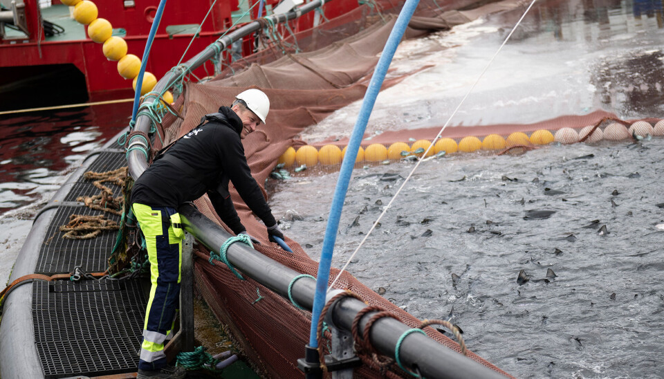 Jonas Bergman, administrerende direktør i Redox.