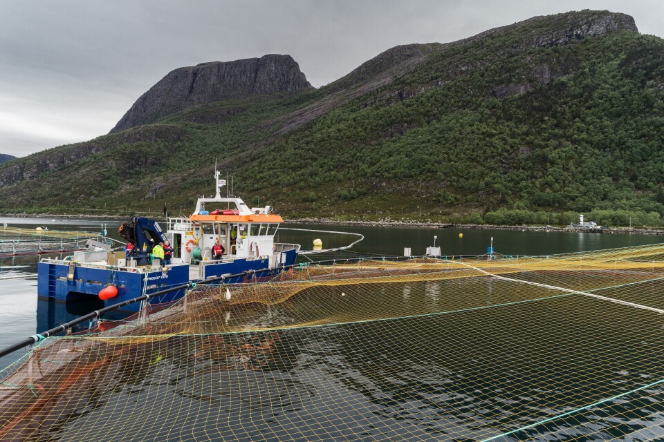 Resultatene fra testingen på Mowi sitt oppdrettsanlegg på Gulestø viser ifølge de involverte at systemet stabiliserer oksygenkonsentrasjonen i merdene. Foto: Runar Hagen.