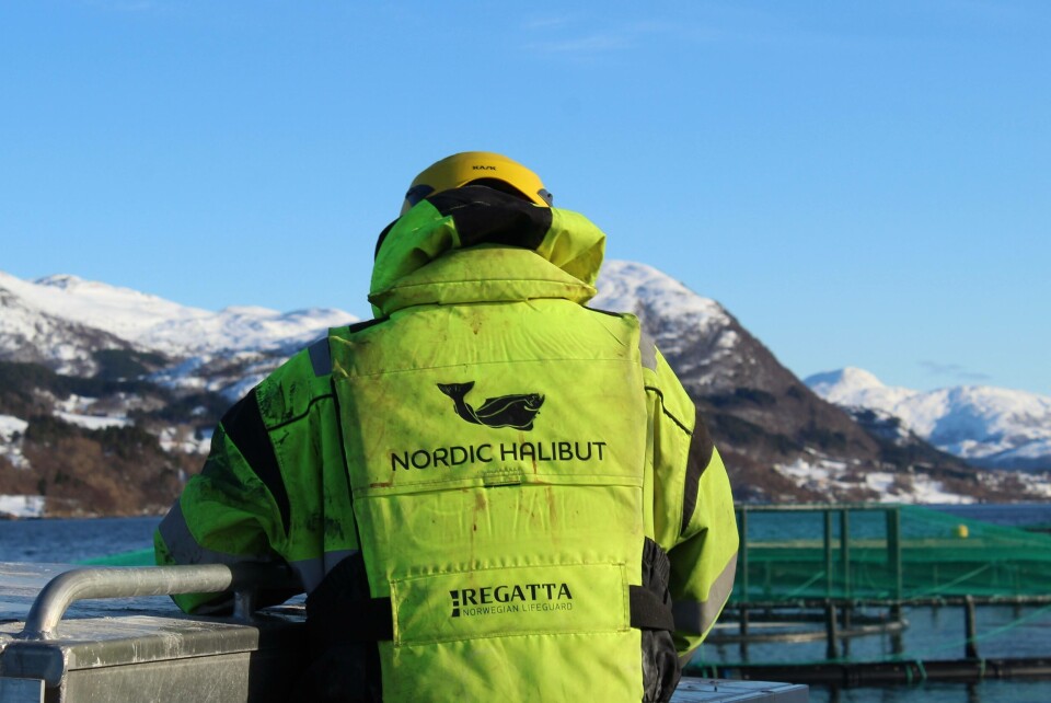 Nordic Halibut har hentet inn 115 millioner kroner i ny kapital som delfinansierer selskapets vekstplaner. Foto: Nordic Halibut Nordic Halibut har hentet inn 115 millioner kroner i ny kapital som delfinansierer selskapets vekstplaner. Foto: Nordic Halibut