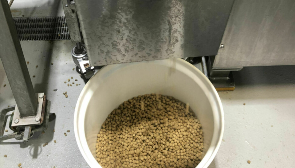 Illustrasjonsfoto: Fiskefôr