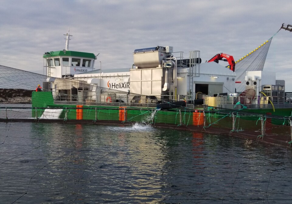 Laksehospitalet Helixir er en behandlingslekter for laks og ørret. Foto: Måsøval Fiskeoppdrett