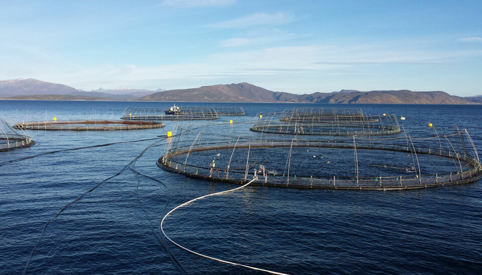 En av Salmar sine lokaliteter.