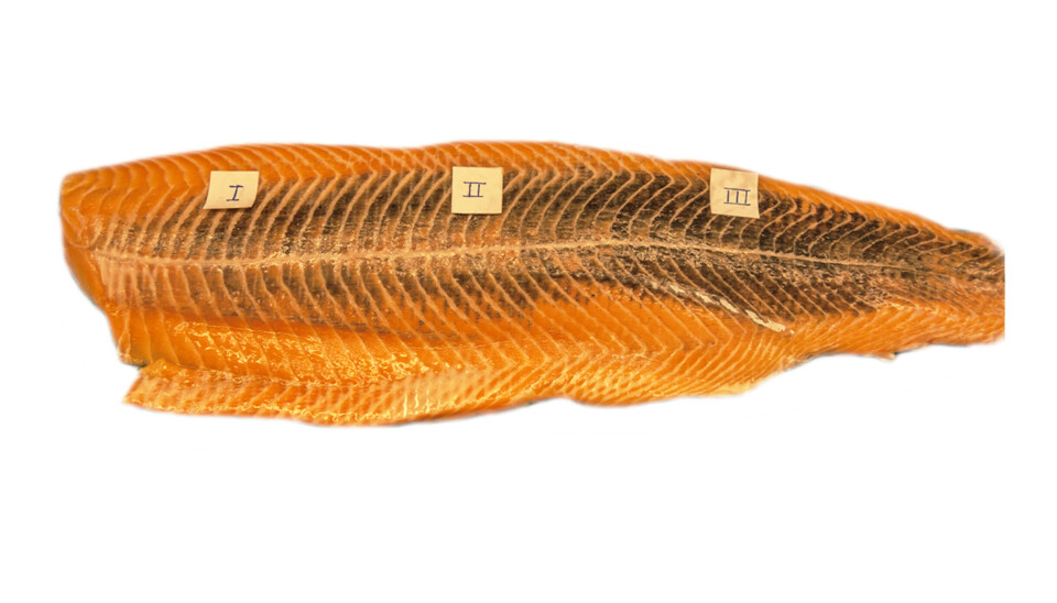 Fillet med overfladisk, mørk misfarging i form av melanin avgrenset til den ytre, røde muskulaturen. Fillet med overfladisk, mørk misfarging i form av melanin avgrenset til den ytre, røde muskulaturen.