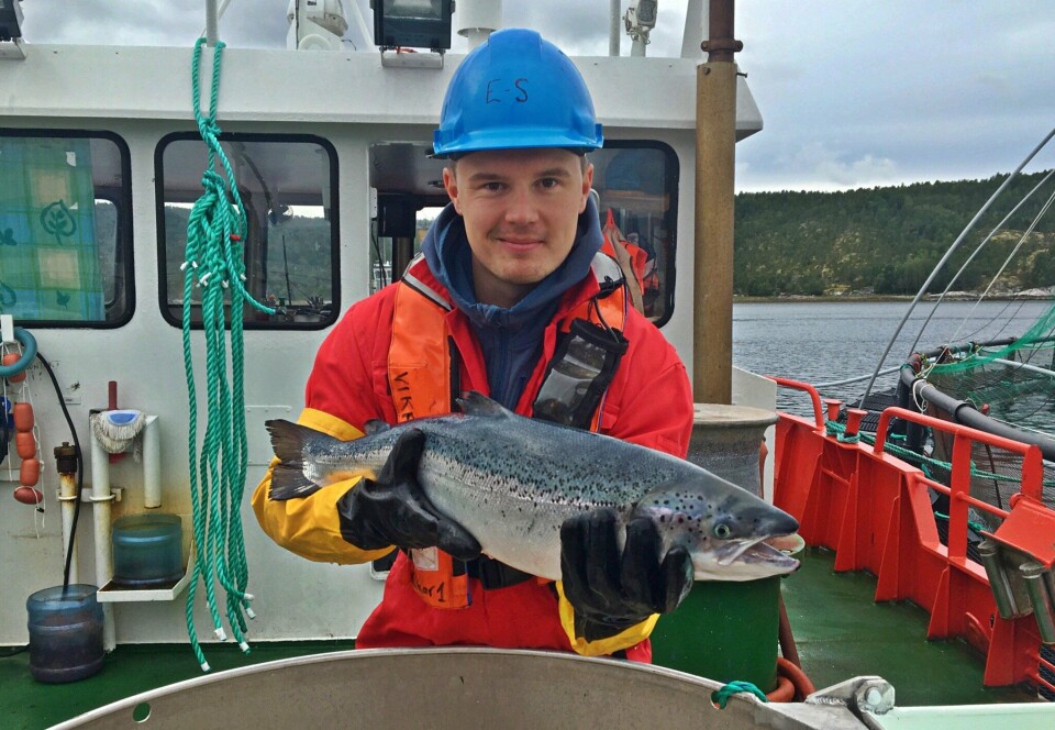 Kristoffer Berglund Andreassen er fiskehelsebiolog i Fishguard avd Harstad og leder av Tekna Havbruk og Fiskehelse. Foto: Privat.