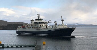 - Flaut å returnere produksjonsfisk til Norge