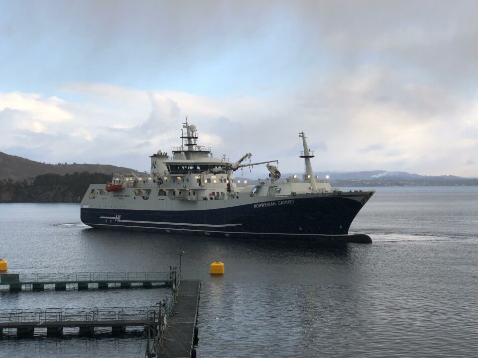 Administrerende direktør i Hav Line Carl-Erik Arnesen er ikke klar for å tilpasse «Norwegian Gannet» den nye kvalitetsforskriften før de sammen med Mattilsynet finner «de gode løsningene». Foto: Jannicke Sekkingstad Johansson. Administrerende direktør i Hav Line Carl-Erik Arnesen er ikke klar for å tilpasse «Norwegian Gannet» den nye kvalitetsforskriften før de sammen med Mattilsynet finner «de gode løsningene». Foto: Jannicke Sekkingstad Johansson.